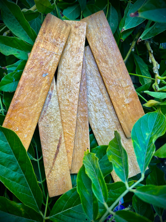 Bulk Kambô Sticks